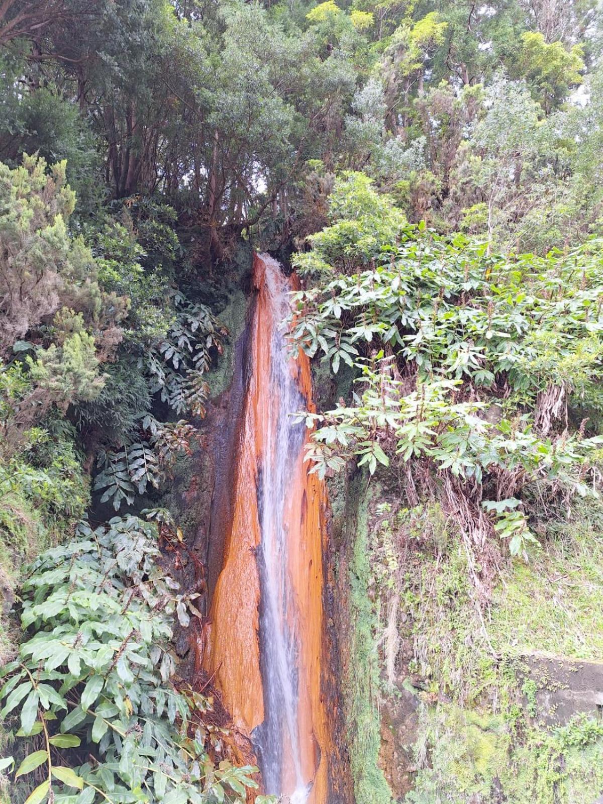 Ponta Delgada A Caminho Da Ilha 아파트 외부 사진